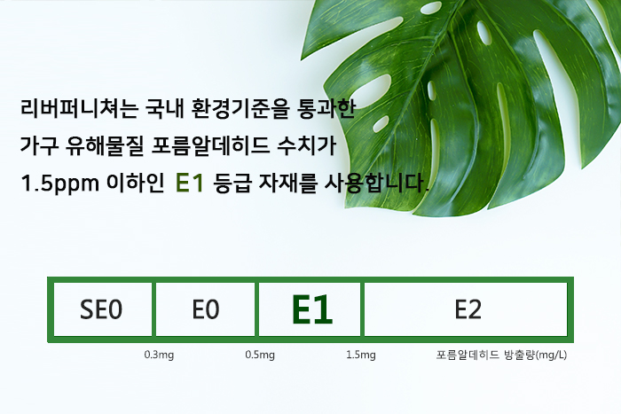 E1-뉴2.jpg